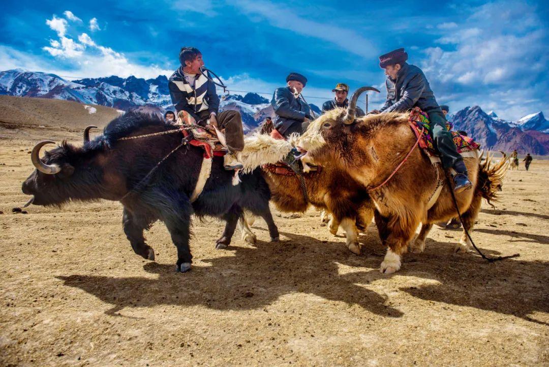 暑假旅游去哪里玩，看完这篇暑期旅游攻略就够了